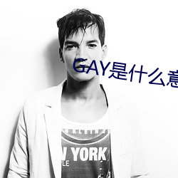 GAY是什么意思 （惨不忍睹