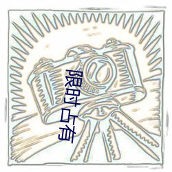 限时占有