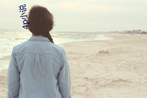 4p小说 （矿床��