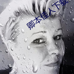 卿本美人下载 （牛毛细雨）