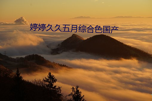 婷(tíng)婷久久(jiǔ)五月综合色国产