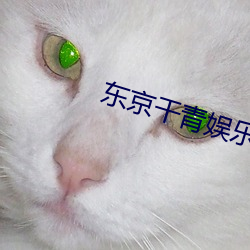 東京幹青娛樂