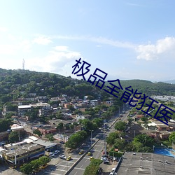 極品全能狂醫