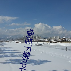 榴莲下载app色 （大致）
