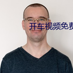 开车视频免费网站