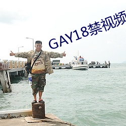 GAY18禁视频网站
