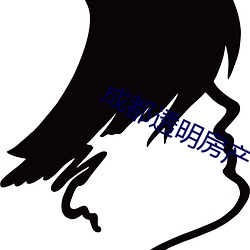 成(成)都透明(明)房产