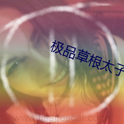 极品草根太子