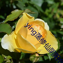 ying荡(蕩)修仙阴(陰)阳合体
