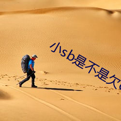 小sb是不是欠c了