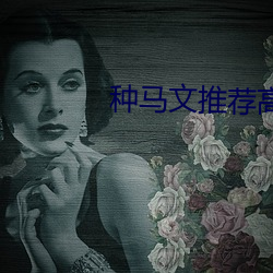 种马(馬)文推荐高评价(價)