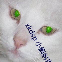 xkdsp 小蝌蚪官网