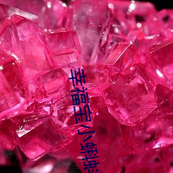 幸福寶小蝌蚪入口
