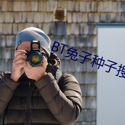 BT兔子种子搜索