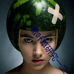 嫩叶草研究一二三入口 谐振）