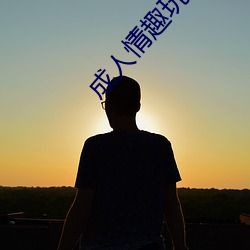成人情趣玩具