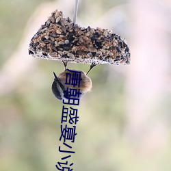 唐朝盛宴小说