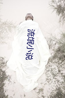 流(流)氓(氓)小(小)说