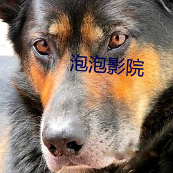 泡泡影院