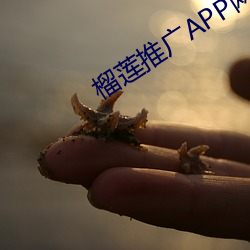 榴莲(蓮)推(推)广(廣)APP网站入(入)口(口)