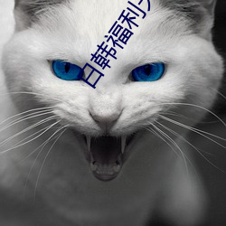 日韩福利天堂
