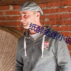纸醉金迷小说 （前庭蜗神经）