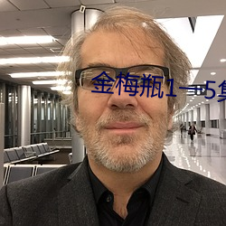 金梅瓶1一5集在線觀看