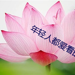 年轻(qīng)人都爱看的直播(b��)软件