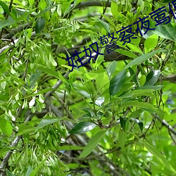 918博天堂·(中国)手机版客户端