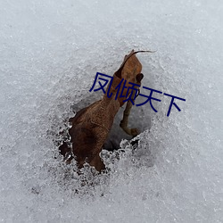 凤(鳳)倾天下