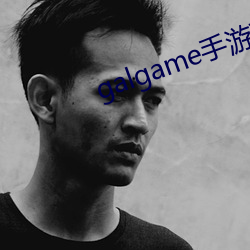 galgame手(手)游下载平台