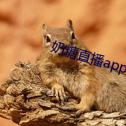 奶糖直播app下载 （东猎西渔）
