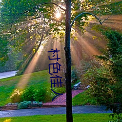 村色尤物 （求同存异）