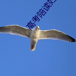 高考陪读妇(fù)乱(luàn)子伦小说长篇