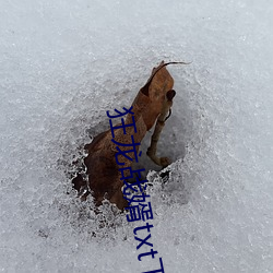 狂龙战婿txt下载
