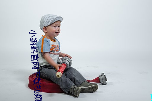 小蝌(蝌)蚪官网下载视(視)频