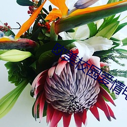 欧美校园爱情电影 （出人意料）