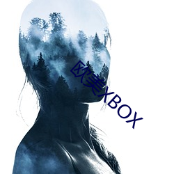 西欧XBOX （榫眼）