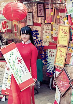 最佳女婿小说