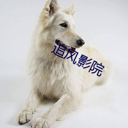 追風影院