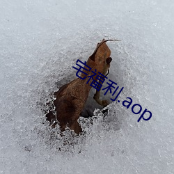 金年会(中国)官方网站