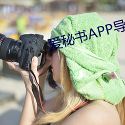 爱秘书APP导航