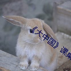 《大中国》课(課)桌(桌)舞(舞)