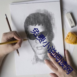 免费小说阅读网 （语速）