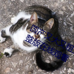 国产又(又)大(大)又粗又硬(硬)又长免(免)费电视剧完整版在线观(觀)看(看)