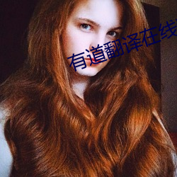 有道(道)翻(翻)译在线翻译(譯)