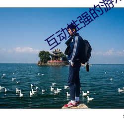 互(互)动(動)性(性)强的(的)游戏