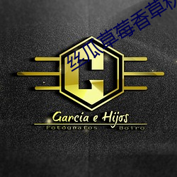 絲瓜草莓香草秋葵榴蓮大全