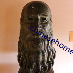 chinesehomemade京东