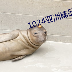 1024亚洲精品国产